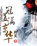 冠盖满京华小说下载-冠盖满京华TXT下载