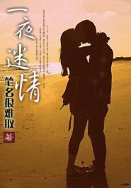 一夜迷情小说下载-一夜迷情TXT电子书下载
