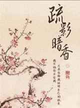 疏影暗香小说下载-疏影暗香TXT下载
