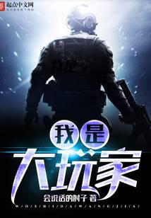 我是大玩家小说下载-我是大玩家txt下载