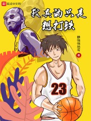 我真的只是想打铁小说下载-我真的只是想打铁txt下载