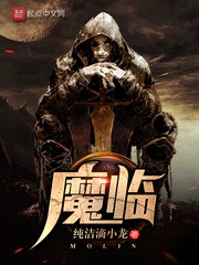 魔临小说下载-魔临txt下载