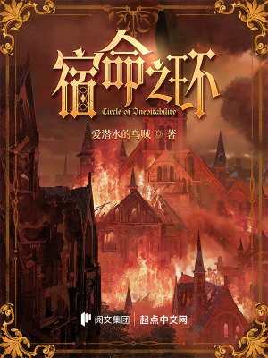 宿命之环小说全本下载-宿命之环txt下载