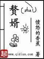 赘婿小说全本下载-赘婿免费下载