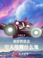 说好的民企，空天母舰什么鬼小说全本下载-说好的民企，空天母舰什么鬼txt免费下载
