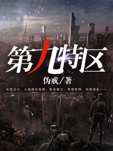 第九特区小说全本下载-第九特区txt免费下载