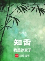 知否：我是徐家子小说全本下载-知否：我是徐家子txt免费下载