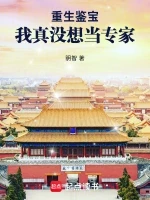 重生鉴宝：我真没想当专家小说全本下载-重生鉴宝：我真没想当专家txt免费下载