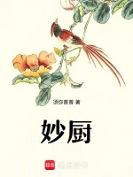 妙厨小说全本下载-妙厨txt免费下载
