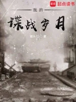 我的谍战岁月小说全本下载-我的谍战岁月txt免费下载