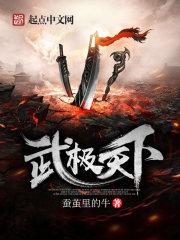 武极天下小说全本下载-武极天下txt免费下载