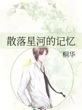 散落星河的记忆