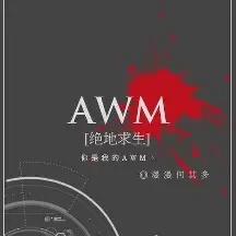 AWM[绝地求生]小说全本下载-AWM[绝地求生]txt免费下载